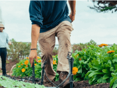 Agricultura Sustentável: Técnicas para Produção com Menos Impacto Ambiental
