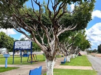 Manutenção garante mais limpeza e bem-estar na Praça Municipal dos Três Poderes