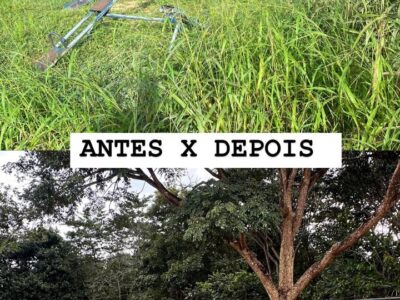Bosque do bairro Tancredo Neves passa por limpeza, manutenção e revitalização.