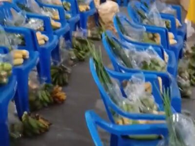 CRAS realiza ação do Programa de Aquisição de Alimentos (PAA) em São Miguel do Guaporé